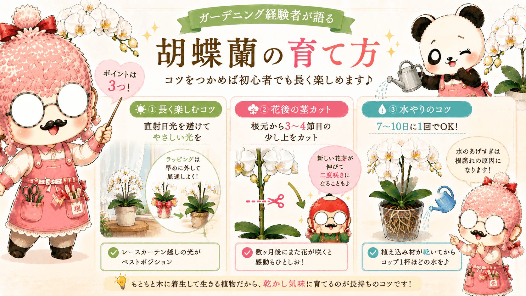 胡蝶蘭の育て方