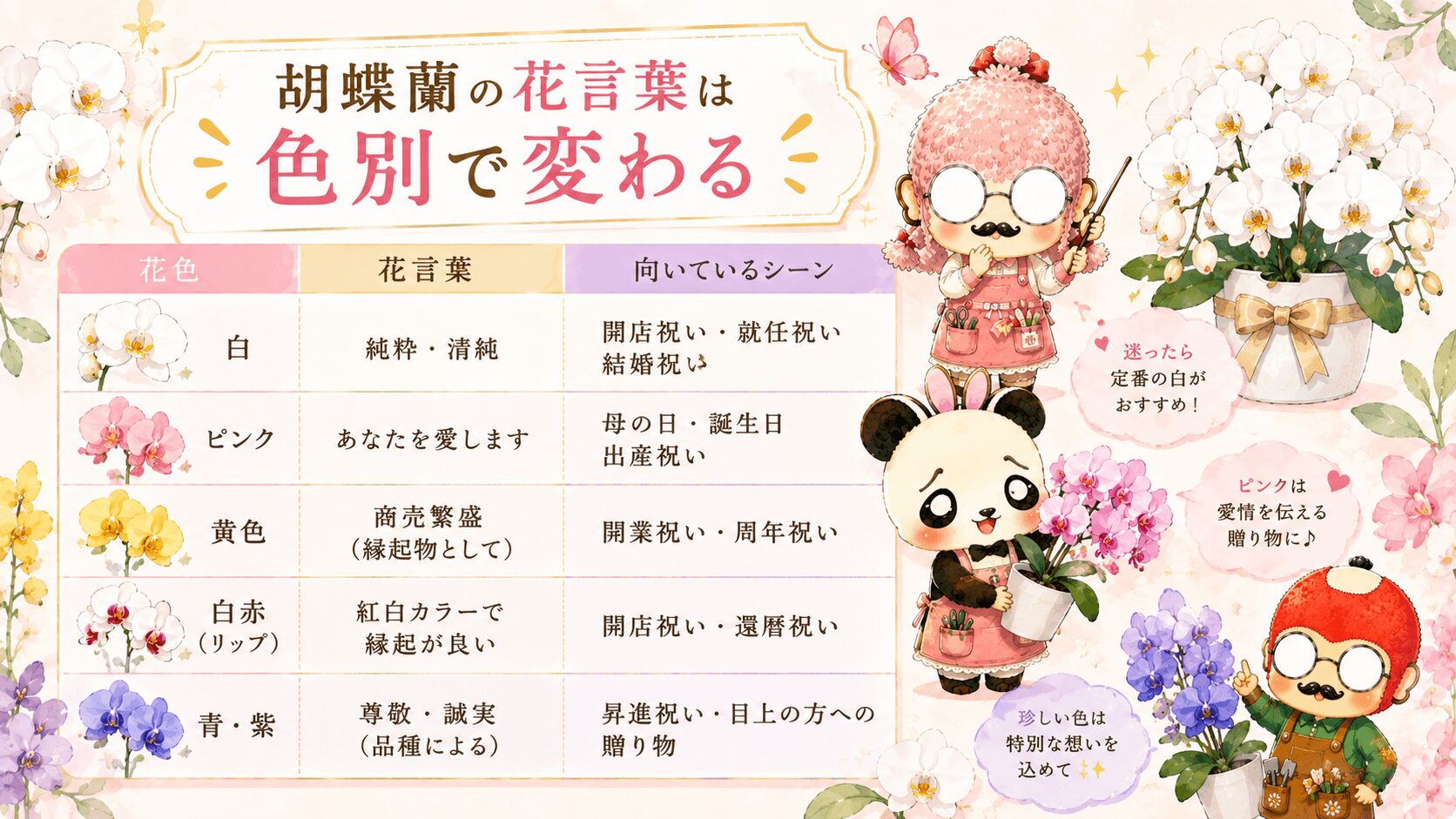 胡蝶蘭の色別の花言葉