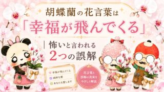 胡蝶蘭の花言葉は「幸福が飛んでくる」|怖いと言われる2つの誤解