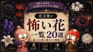 花言葉が怖い花一覧20選|意味と由来を元花屋がわかりやすく解説