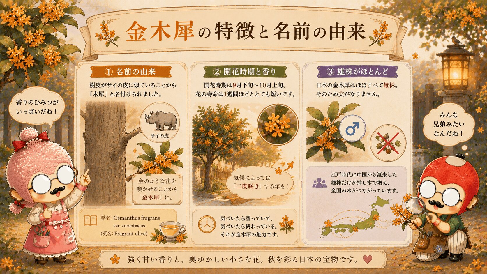 金木犀の特徴と名前の由来
