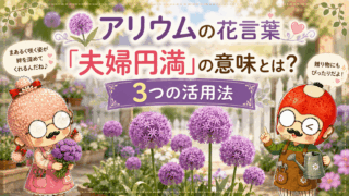 アリウムの花言葉「夫婦円満」の意味とは？3つの活用法