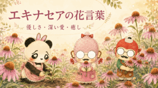 エキナセアの花言葉が持つ3つの顔｜優しさと深い愛に含む意味