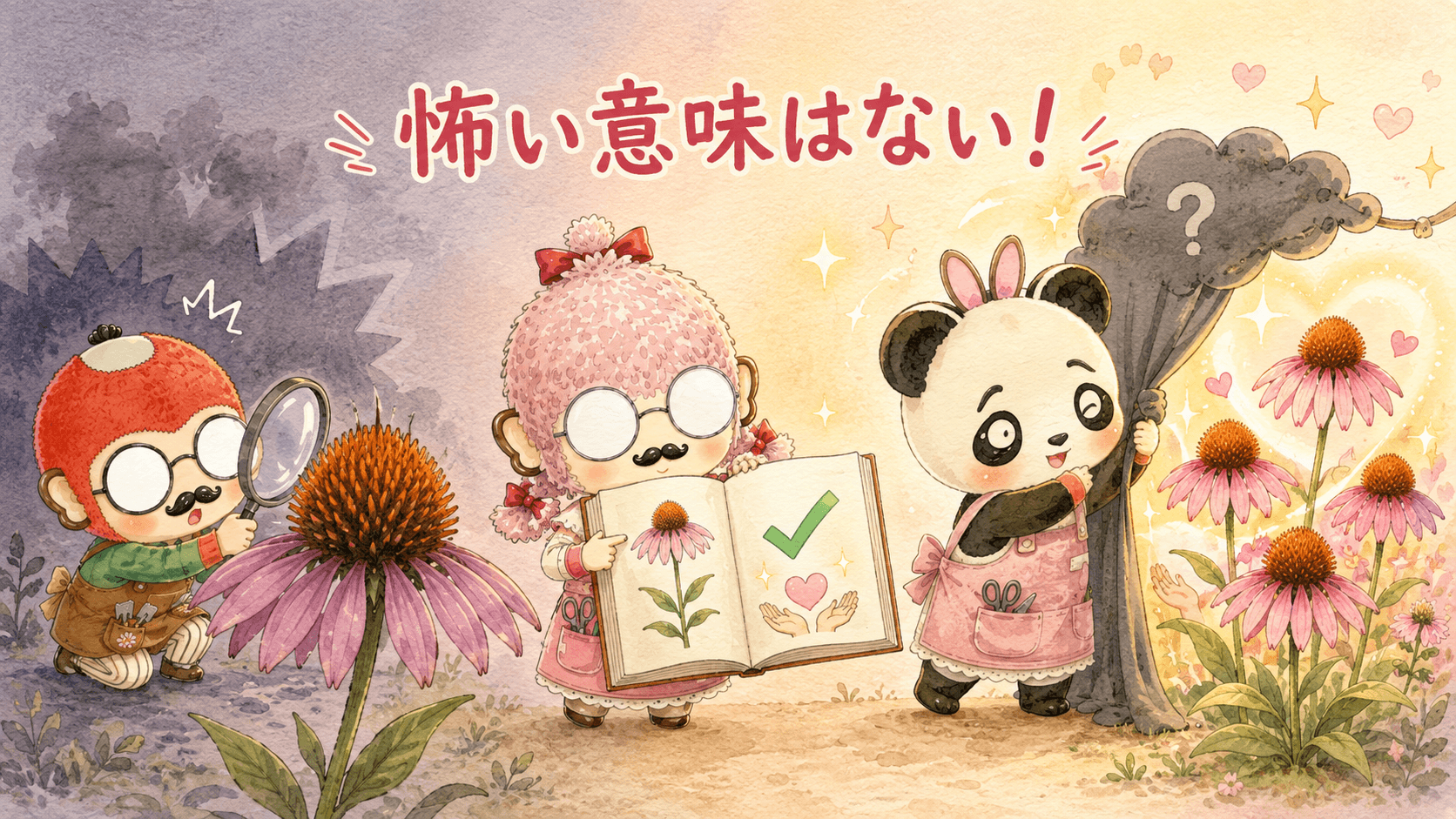 エキナセアの花言葉は怖くない