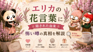 エリカの花言葉に隠された由来｜怖い噂の真相を解説