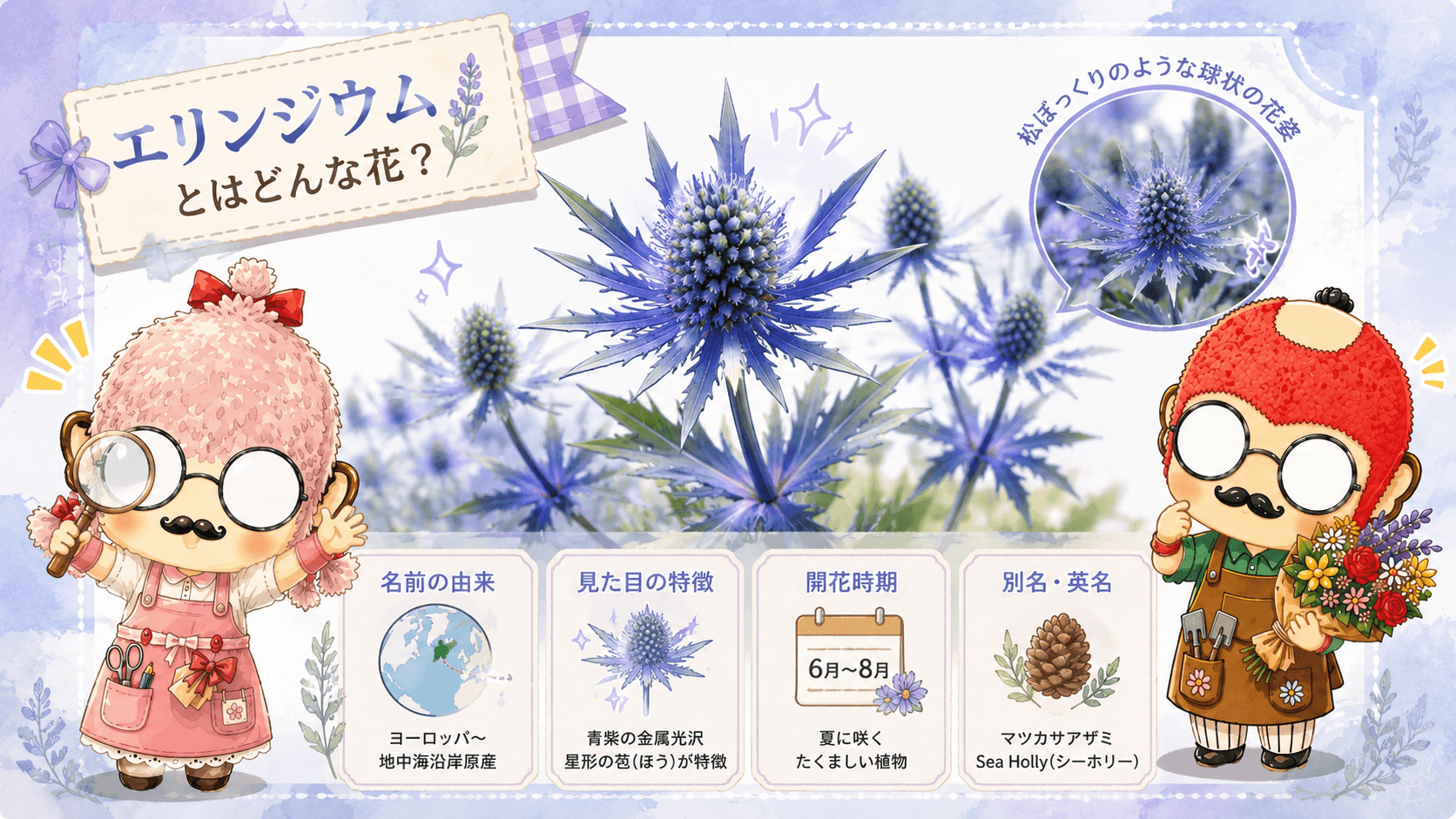 エリンジウムとはどんな花