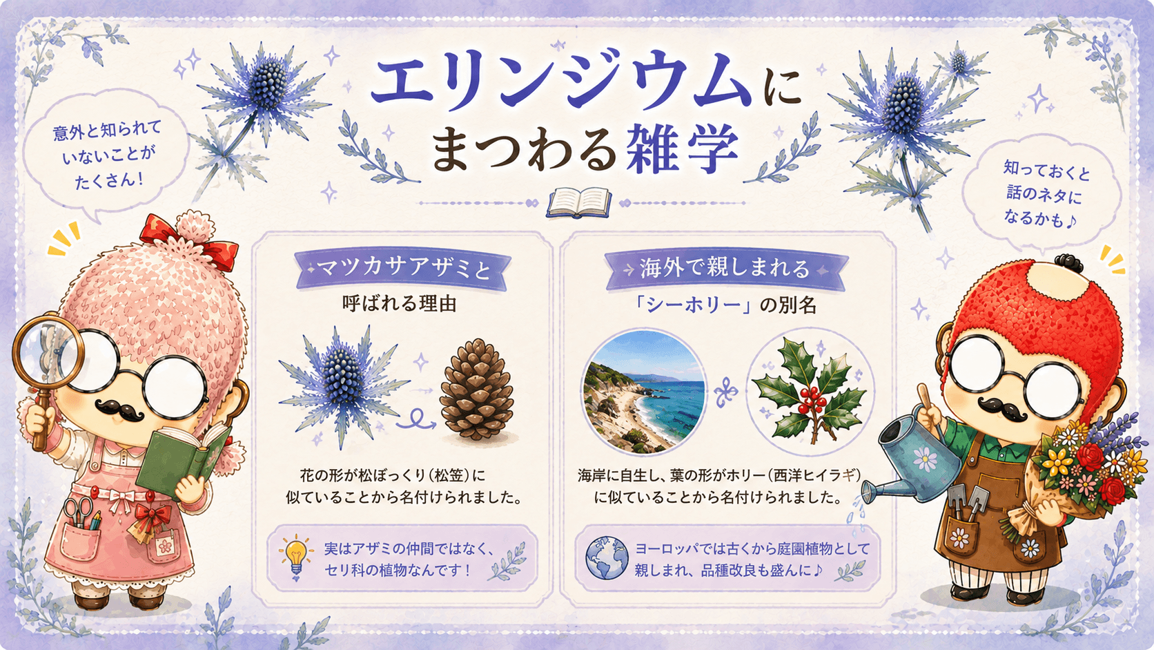エリンジウムにまつわる雑学
