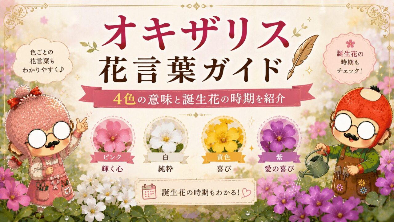 オキザリス花言葉ガイド|4色の意味と誕生花の時期を紹介