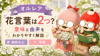 オルレア花言葉は2つ?意味と由来をわかりやすく解説