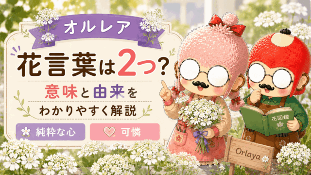 シロツメクサの花言葉が持つ2つの顔｜幸運と怖い噂の真実
