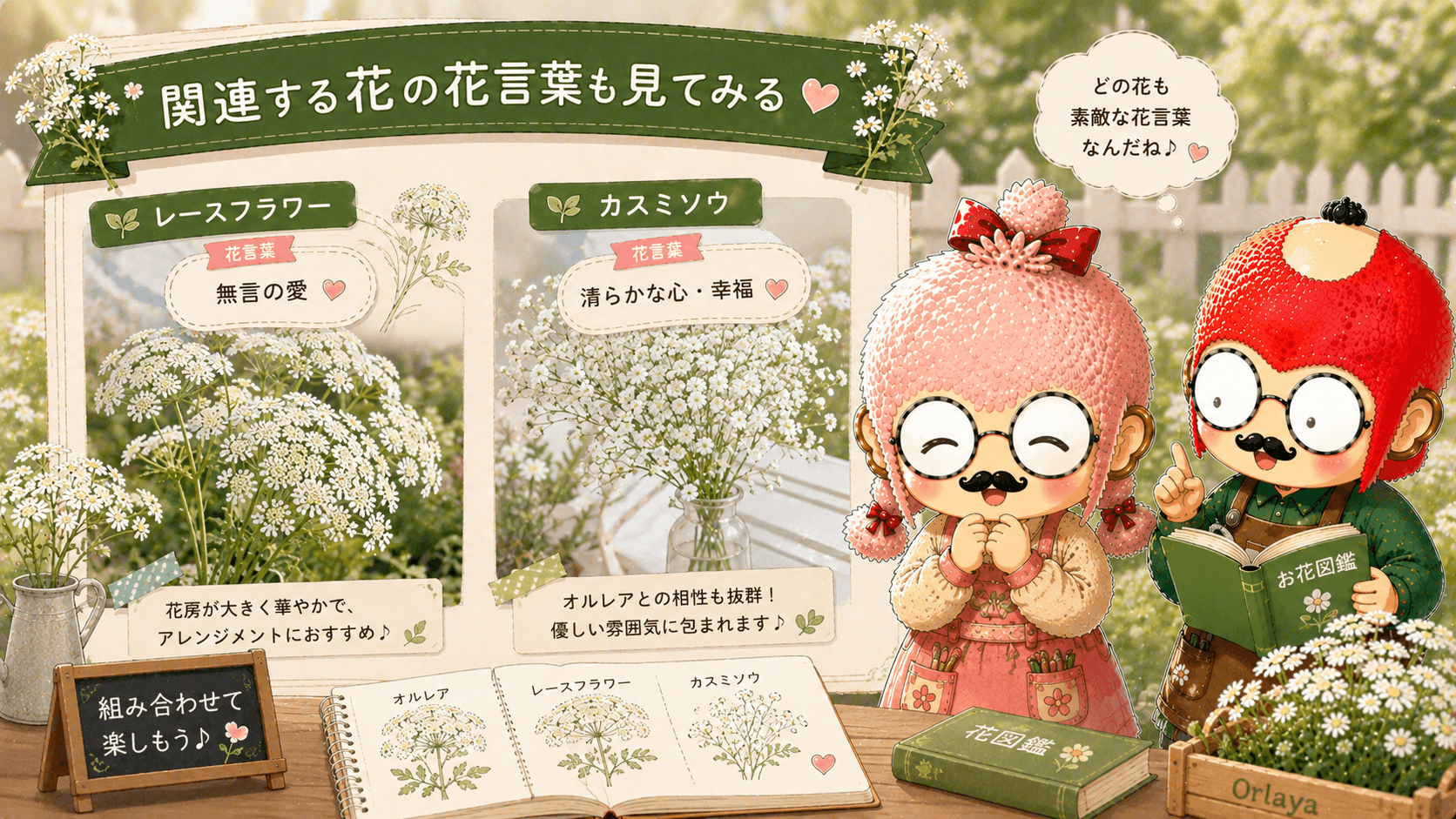 オルレアの花言葉に似た花々