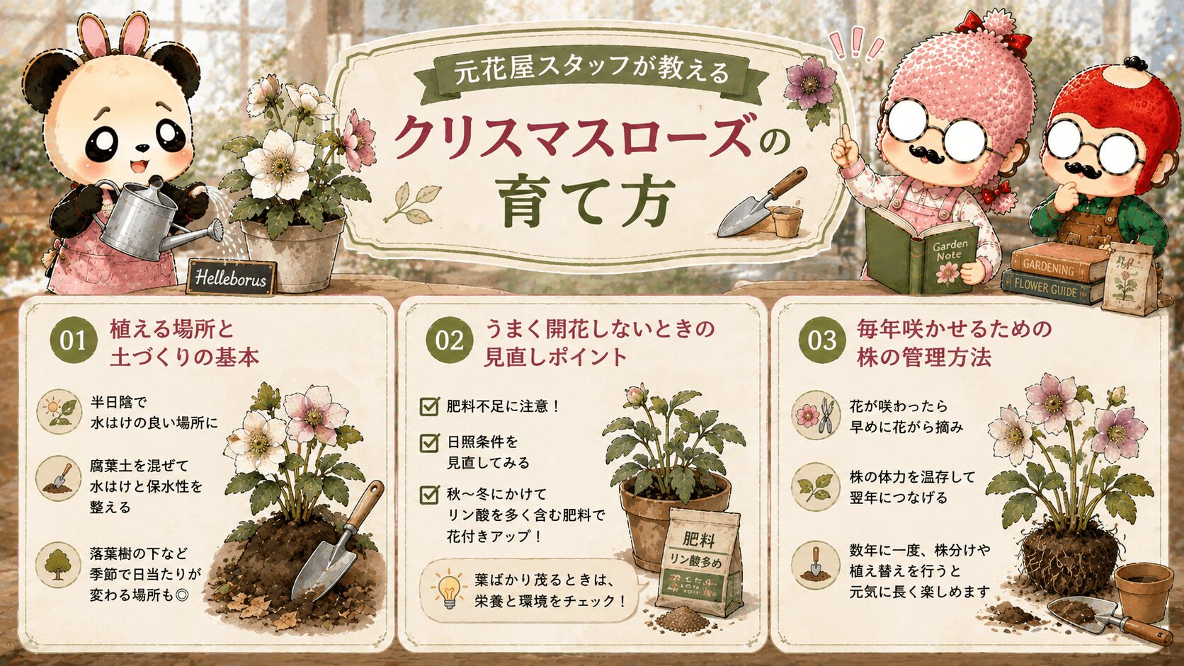 クリスマスローズの育て方