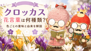 クロッカスの花言葉は何種類?色ごとの意味と由来を解説