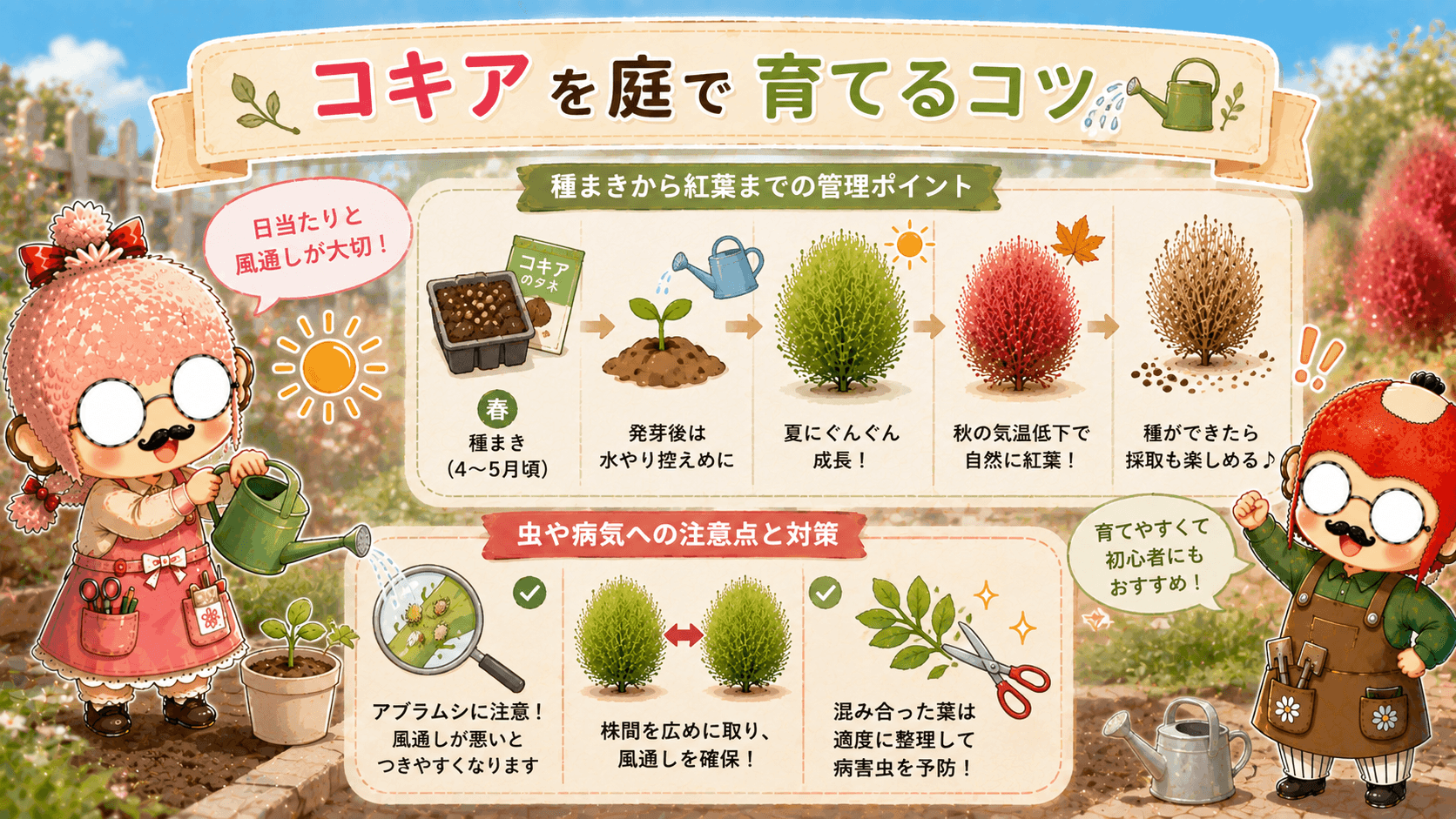 コキアの育て方