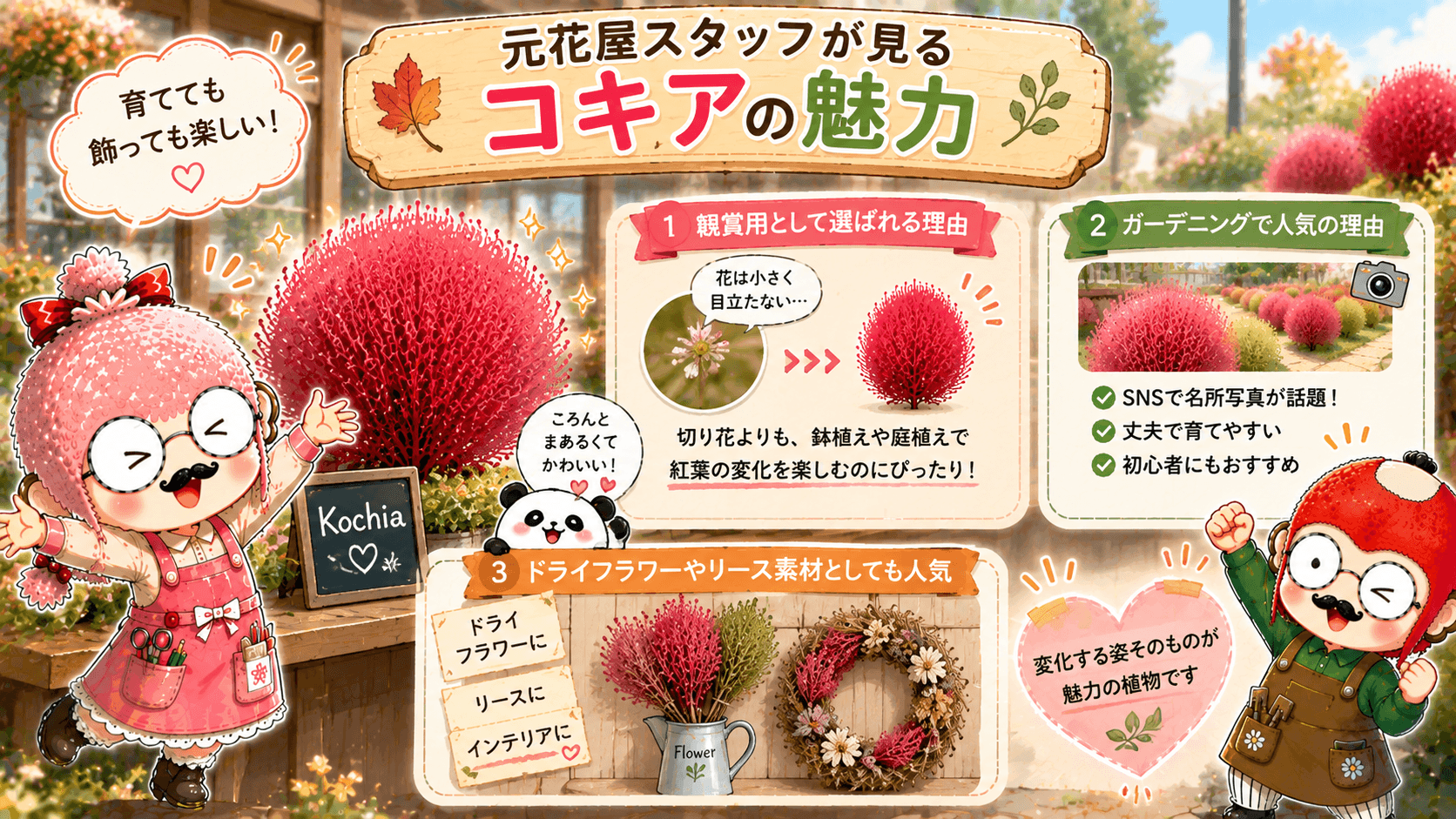 コキアの魅力