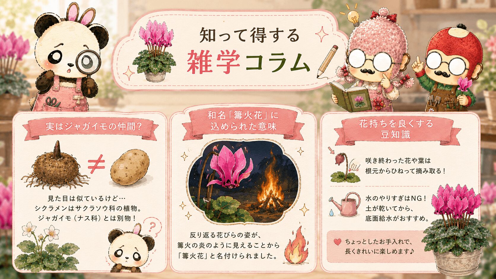 シクラメンの雑学