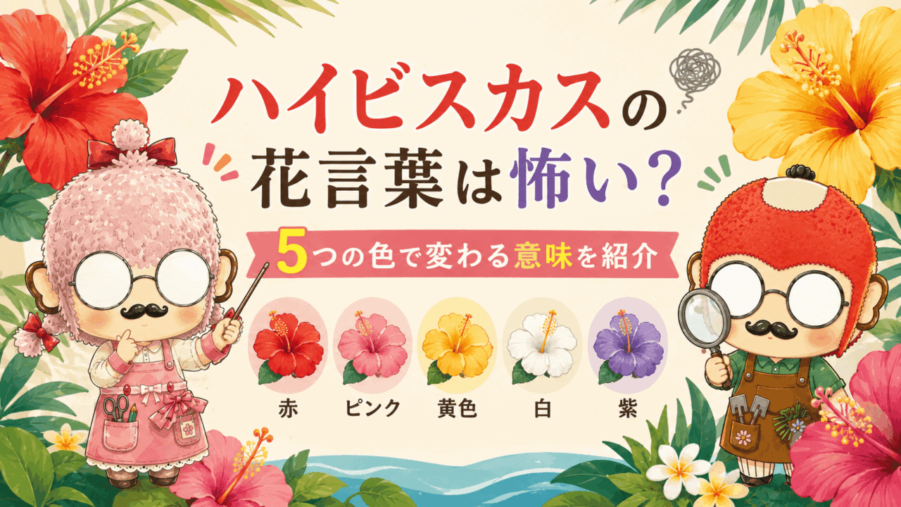 ハイビスカスの花言葉は怖い?5つの色で変わる意味を紹介