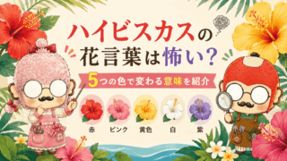 ハイビスカスの花言葉は怖い?5つの色で変わる意味を紹介