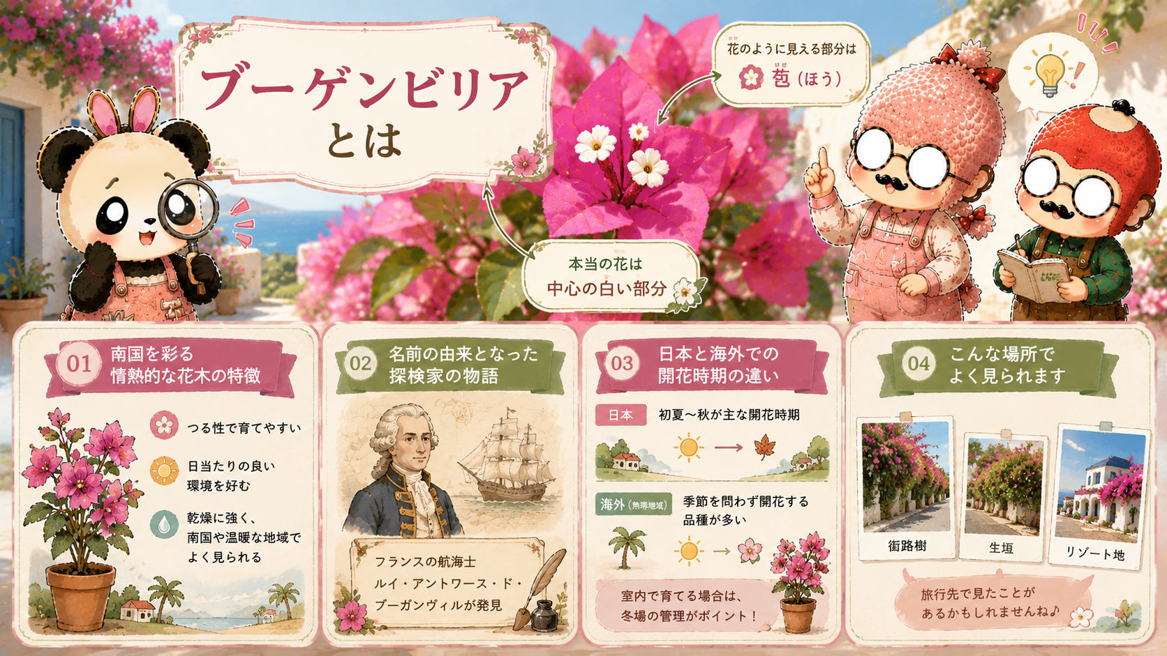 ブーゲンビリアとはどんな花？