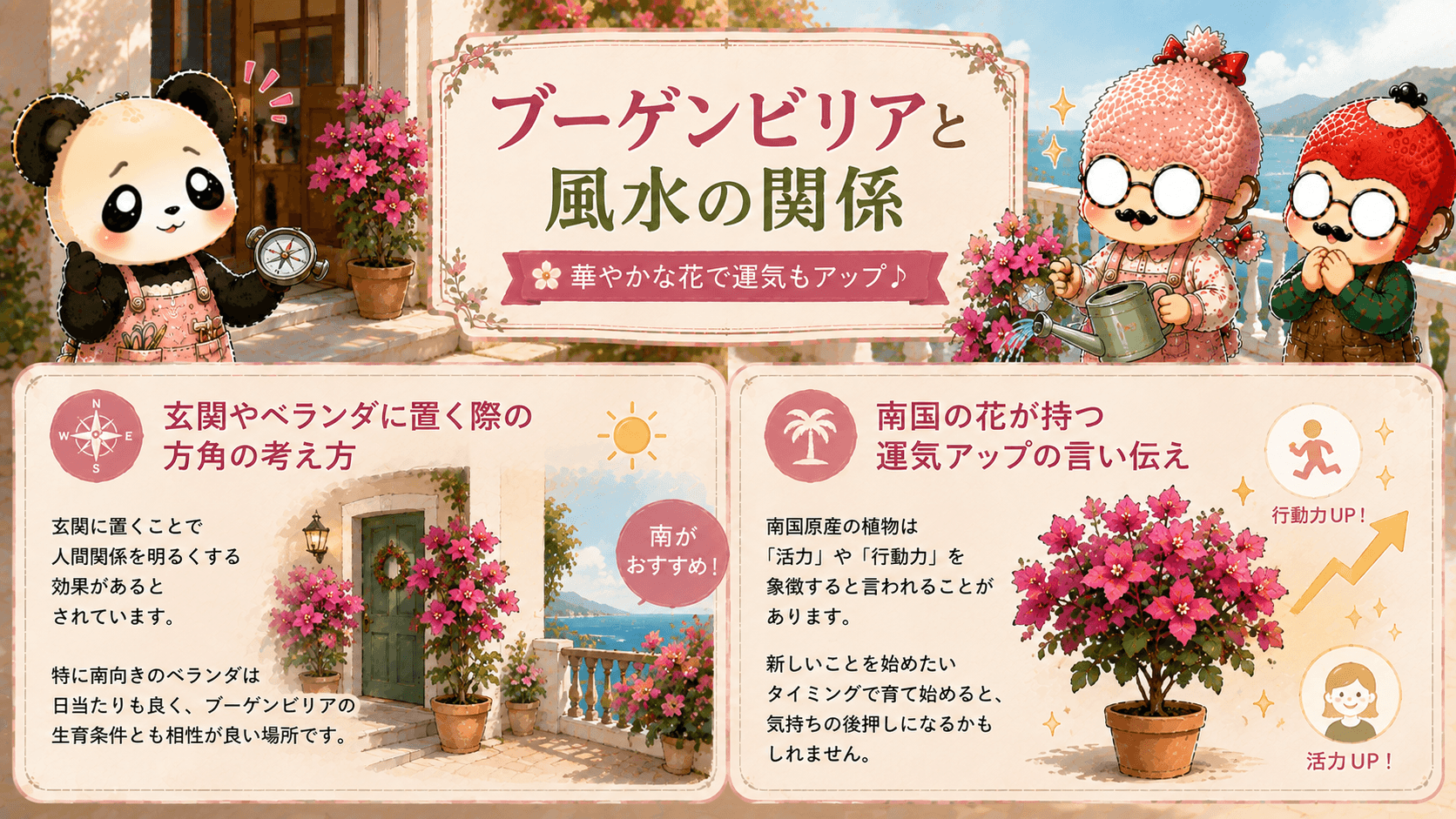 ブーゲンビリアと風水の関係