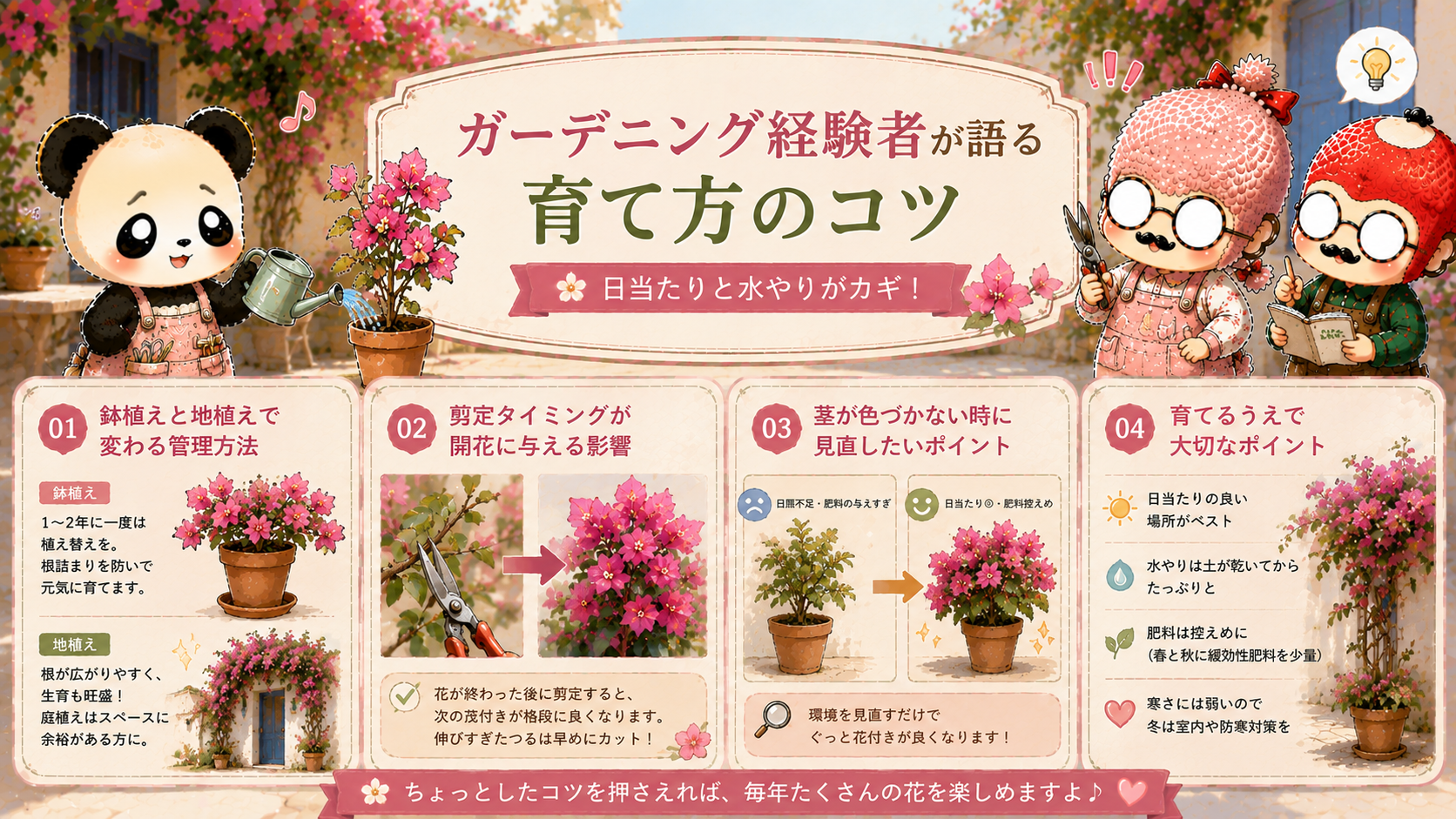ブーゲンビリアの育て方のコツ