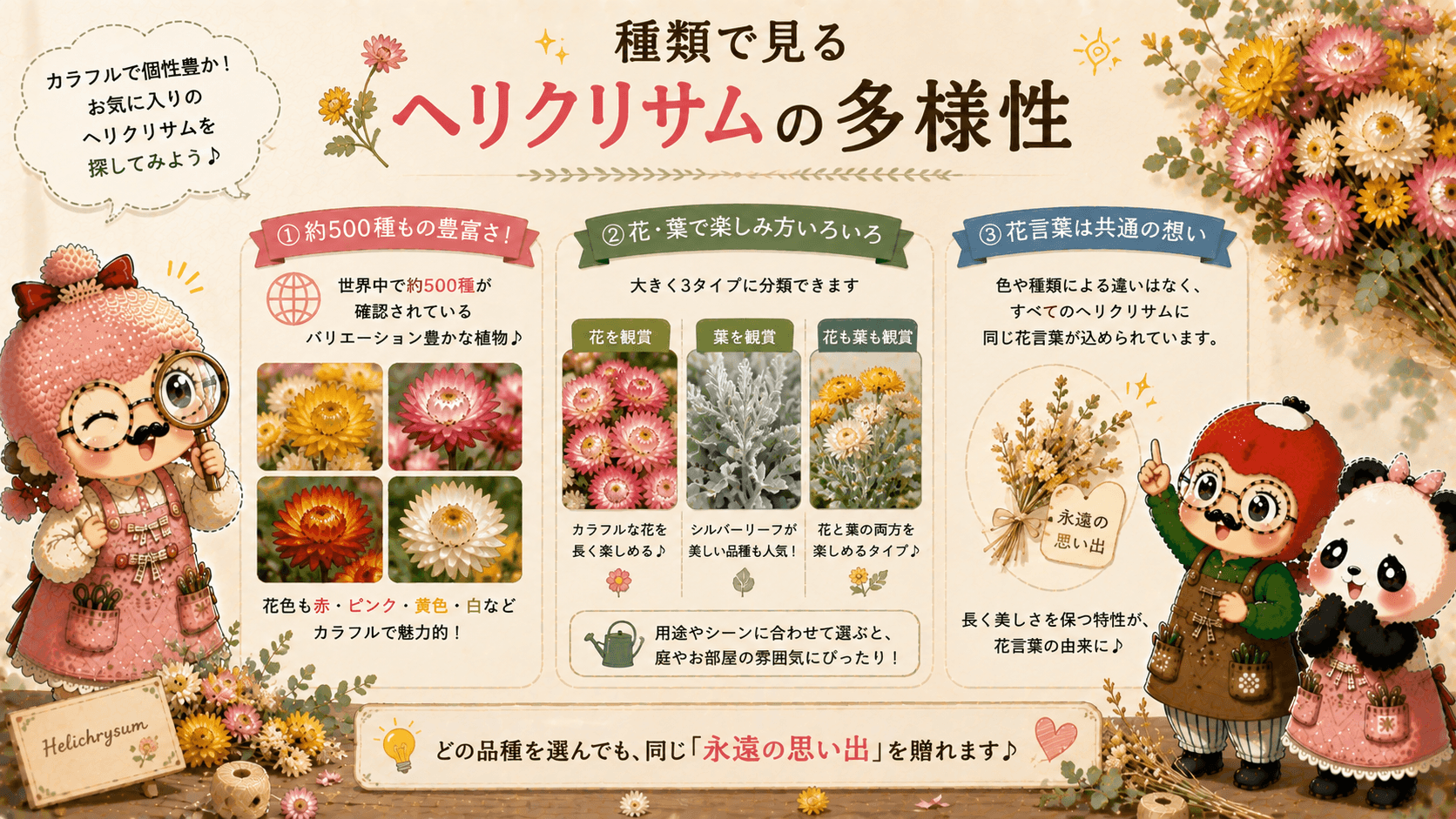 ヘリクリサムの種類