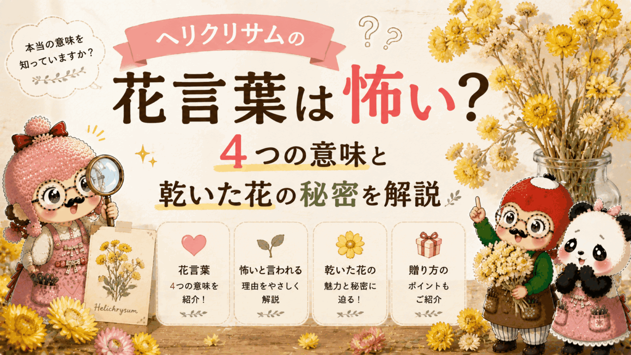 ヘリクリサムの花言葉は怖い?4つの意味と乾いた花の秘密を解説