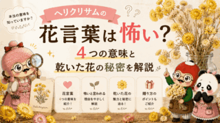 ユーカリの花言葉は怖い？コアラも食べる植物の3つの秘密を解説
