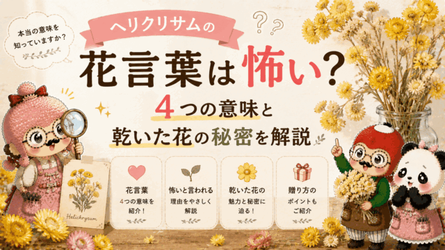ヘリクリサムの花言葉は怖い？4つの意味と乾いた花の秘密を解説