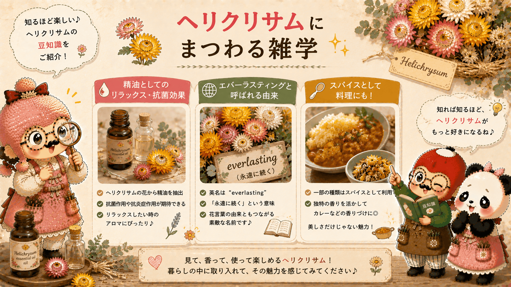 ヘリクリサムの雑学