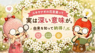 オキザリス花言葉ガイド|4色の意味と誕生花の時期を紹介