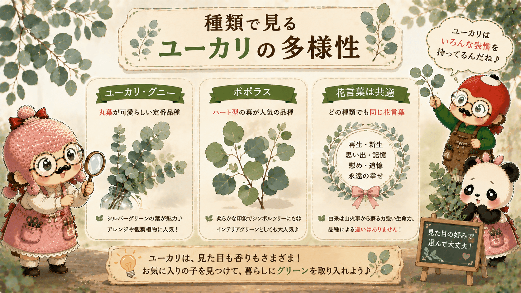 ユーカリの種類