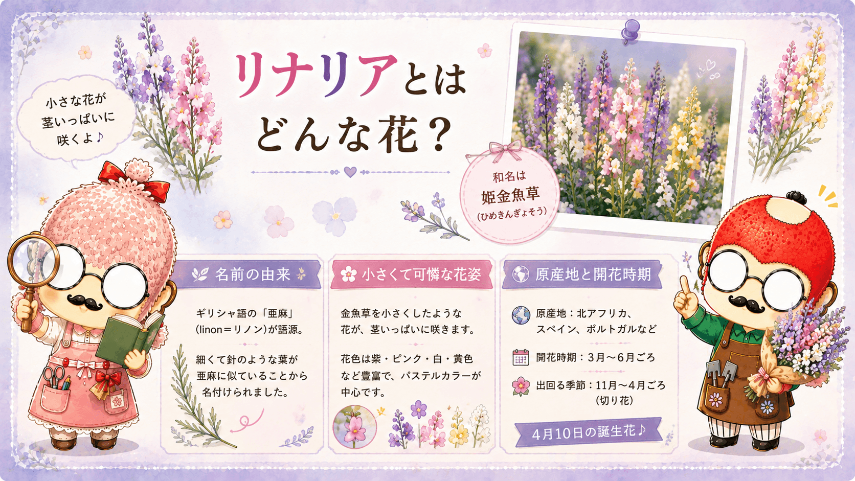 リナリアとはどんな花