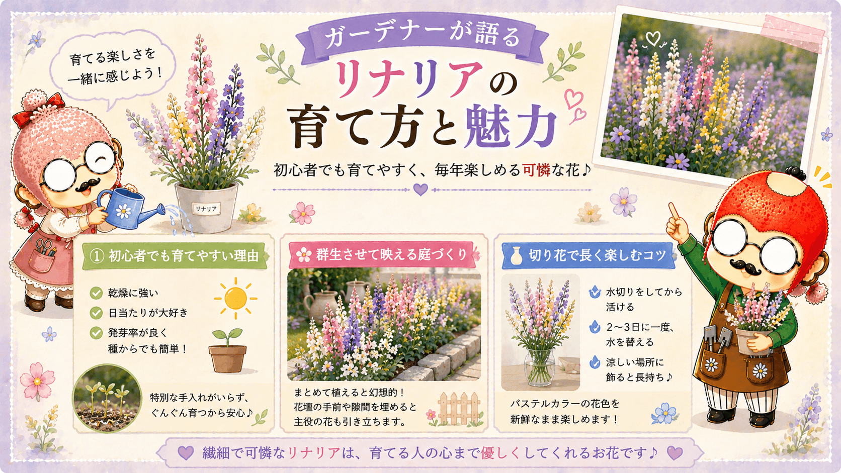 リナリアの育て方と魅力
