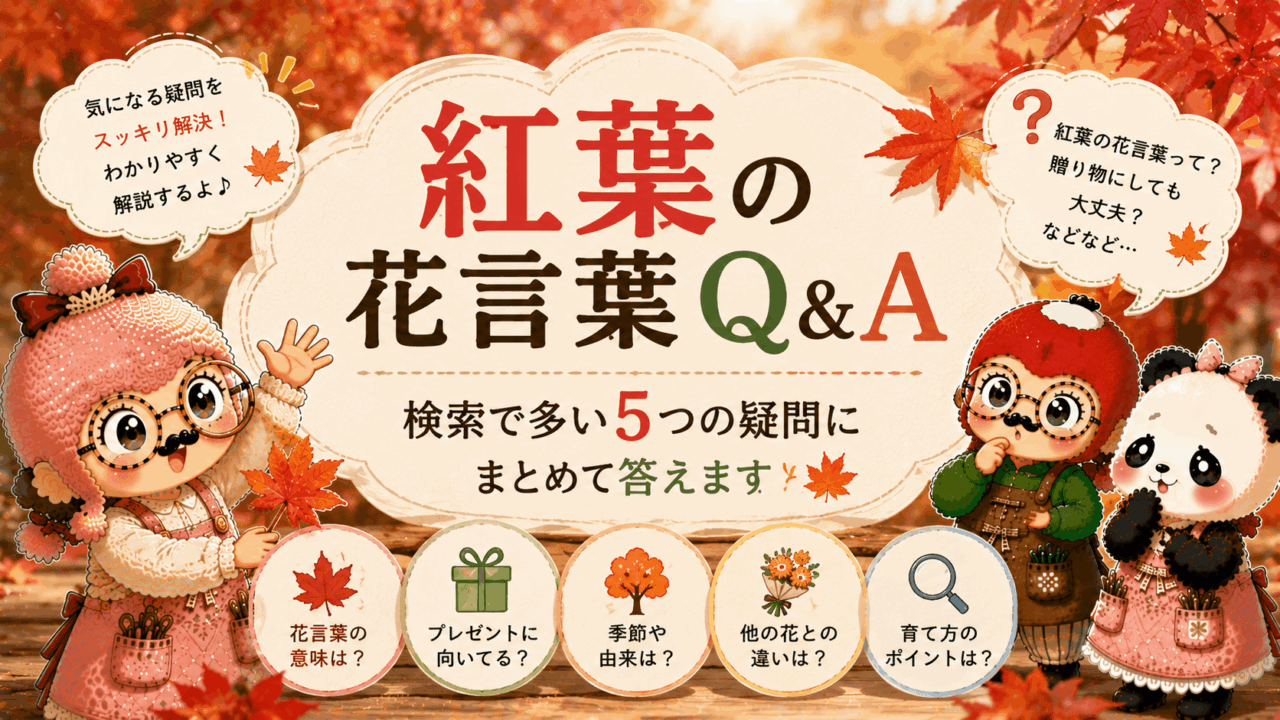紅葉の花言葉Q&A|検索で多い5つの疑問にまとめて答えます