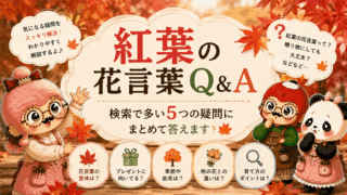 ヘリクリサムの花言葉は怖い？4つの意味と乾いた花の秘密を解説