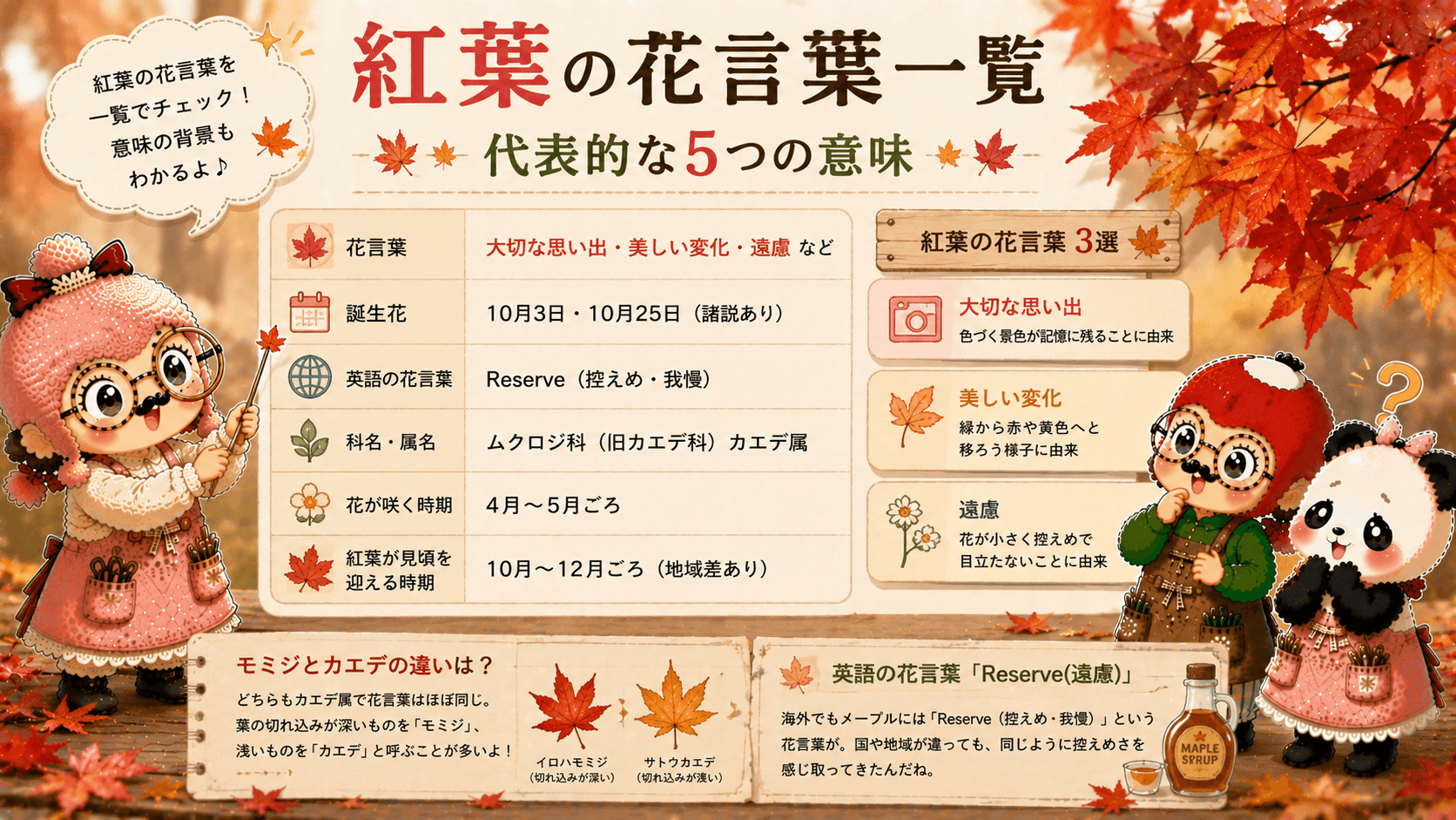 紅葉の花言葉一覧