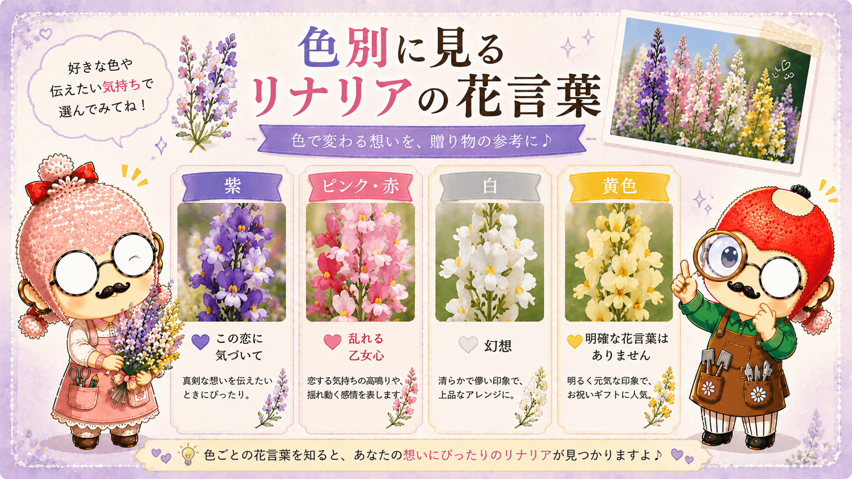 色別に見るリナリアの花言葉