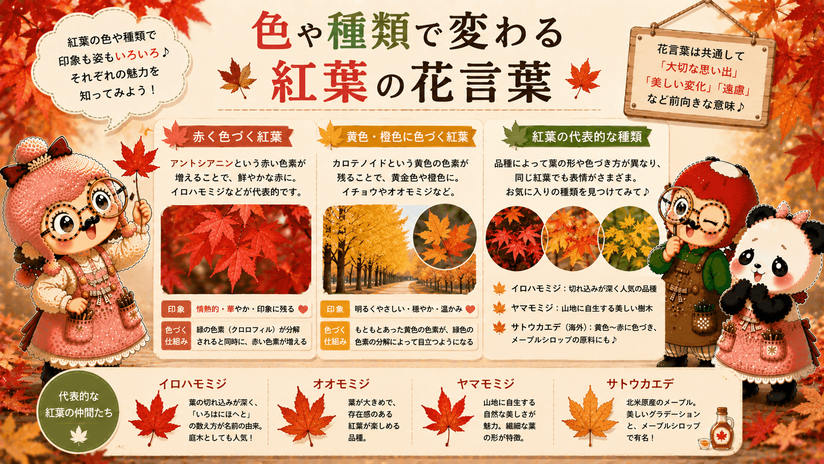 色別の紅葉の花言葉