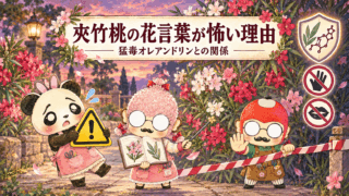 夾竹桃の花言葉が怖い理由｜猛毒オレアンドリンとの関係とは